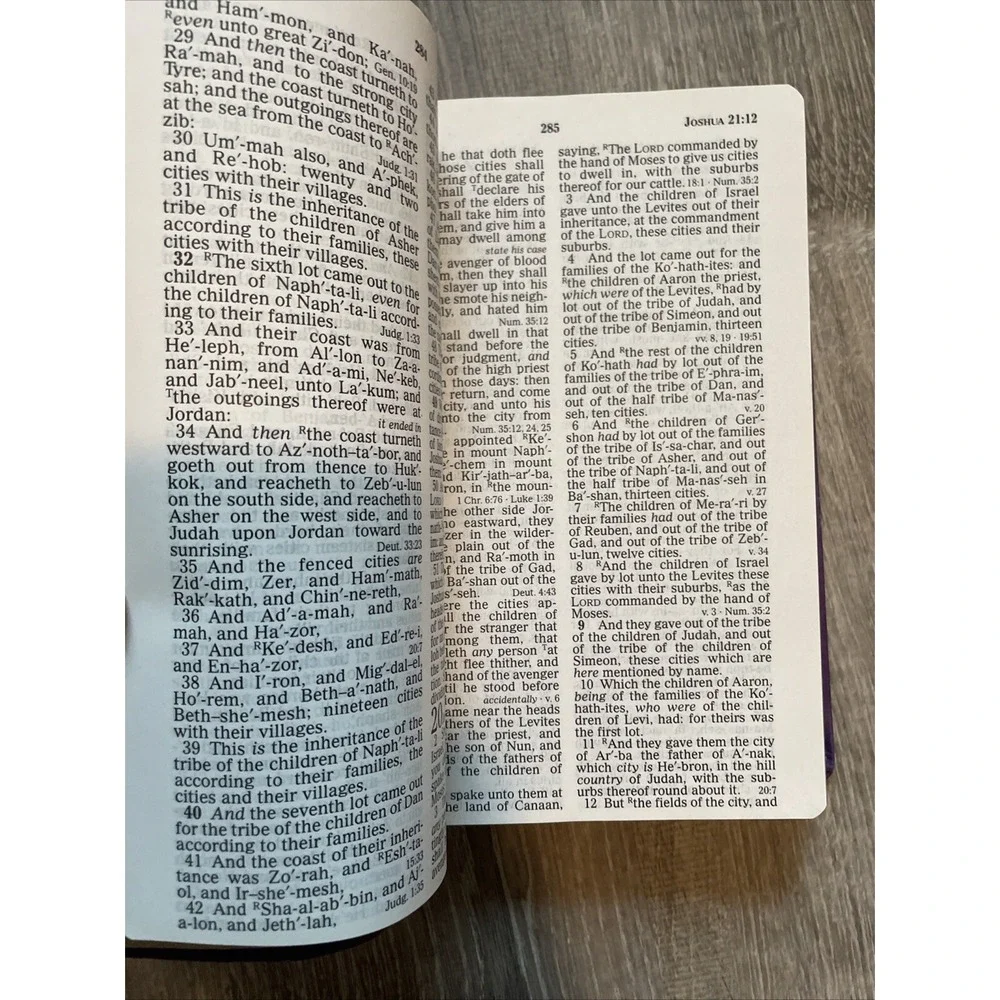 KJV Holy Bible by Thomas Nelson (2003, Leathersoft, Giant Print Edition 837816)